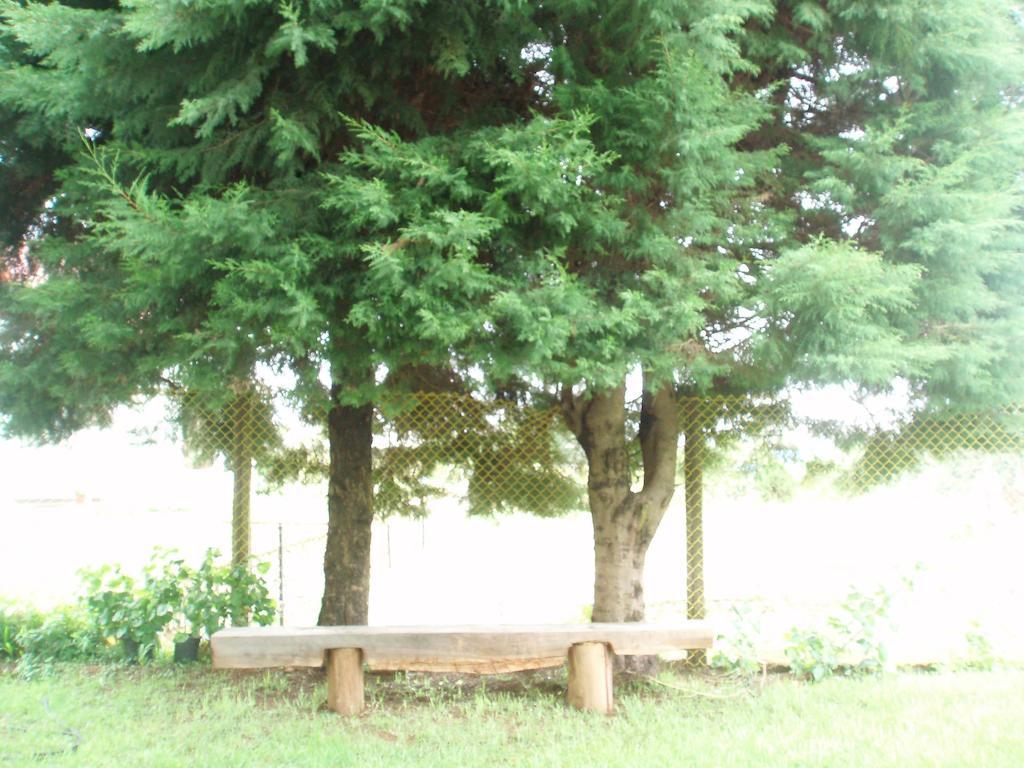 Hill View Bungalow Bed and Breakfast Nuwara Eliya Esterno foto