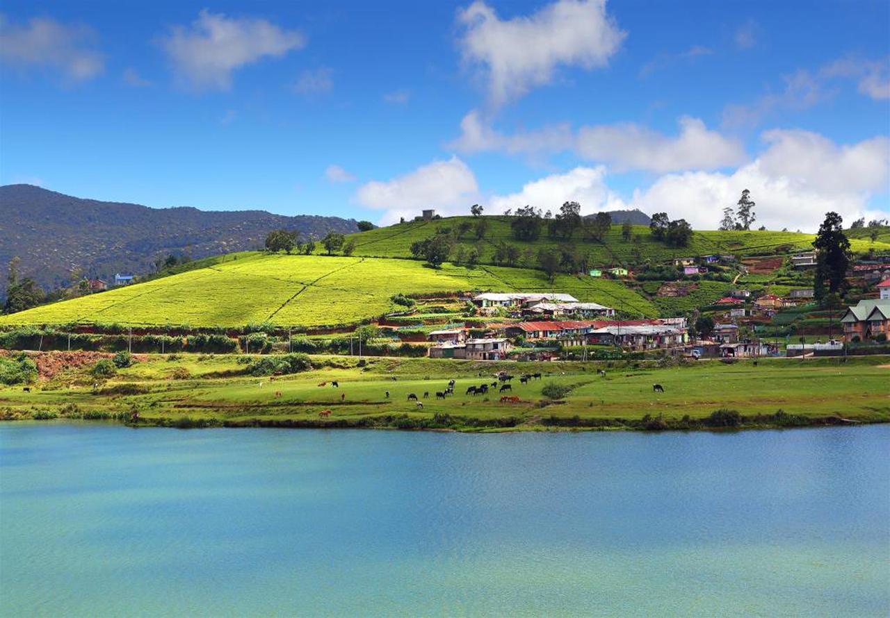 Hill View Bungalow Bed and Breakfast Nuwara Eliya Esterno foto
